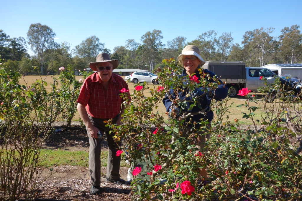 Queensland Rose Society Photos Rose Activities